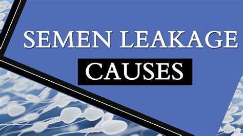 why do i leak so much precum|Semen Leakage: Causes and Treatment